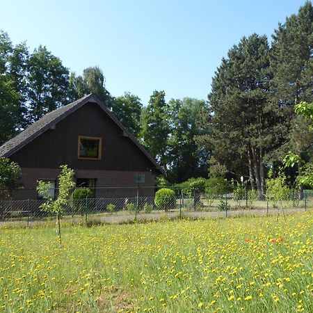 Ferienhaus An Der Borner Muehle ブリュッゲン エクステリア 写真